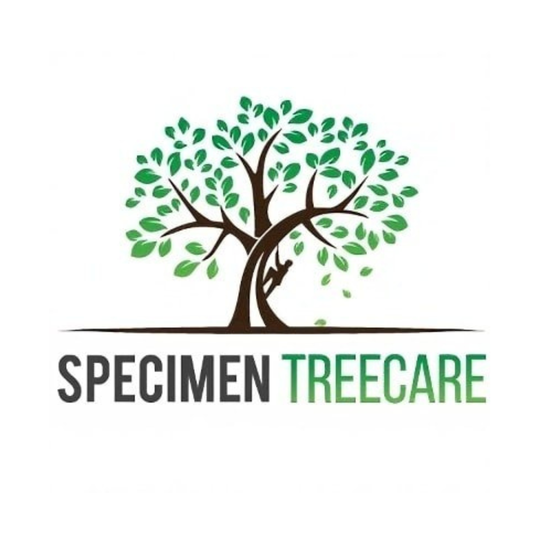 Specimen Treecare