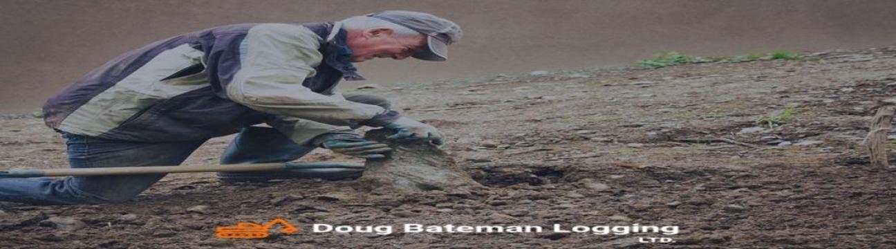Doug Bateman