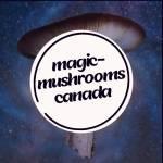 MagicMushrooms Canada