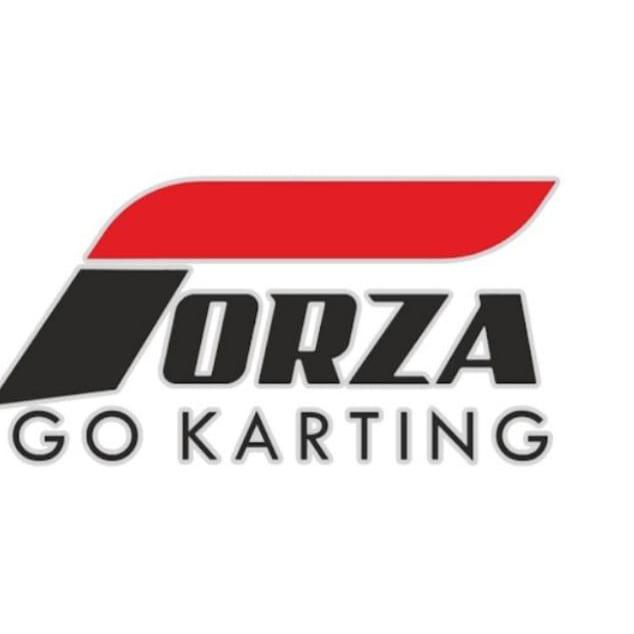 Forza Gokarting
