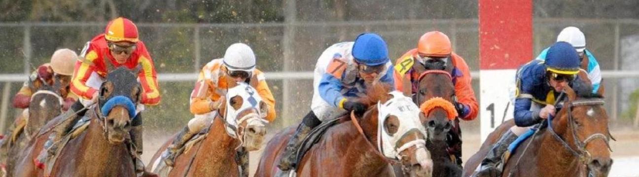 Paulgargan Racing