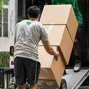 Removalist 158