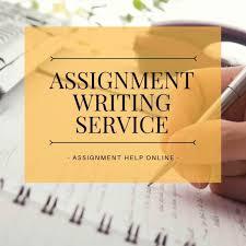 Essay Writer