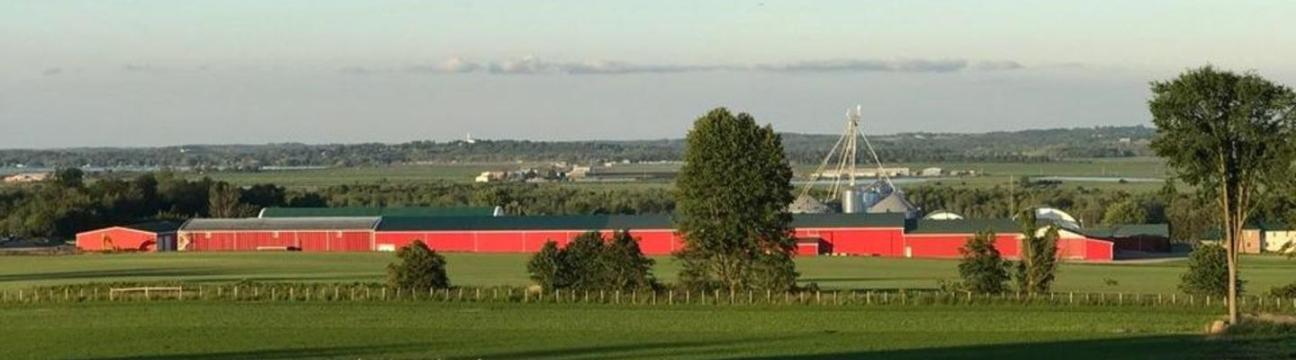 Gwillimdale Farms