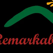 Remarkable Holiday