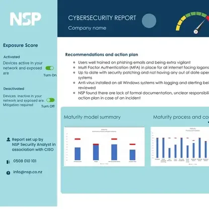 NSP CYBERSECURITY